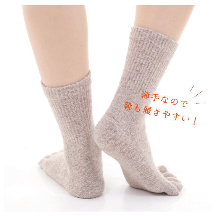 靴も履ける
