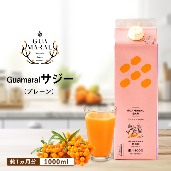 サジープレーン1本