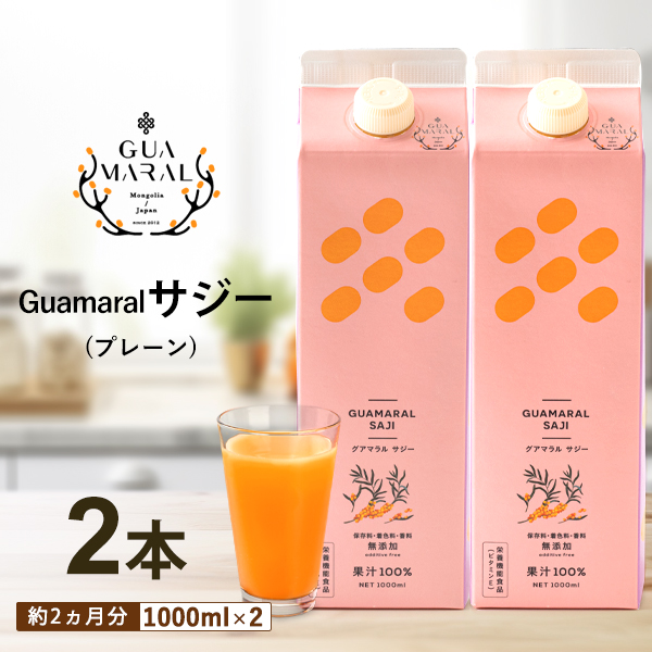 サジープレーン2本