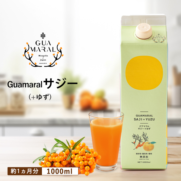 サジーゆず１本