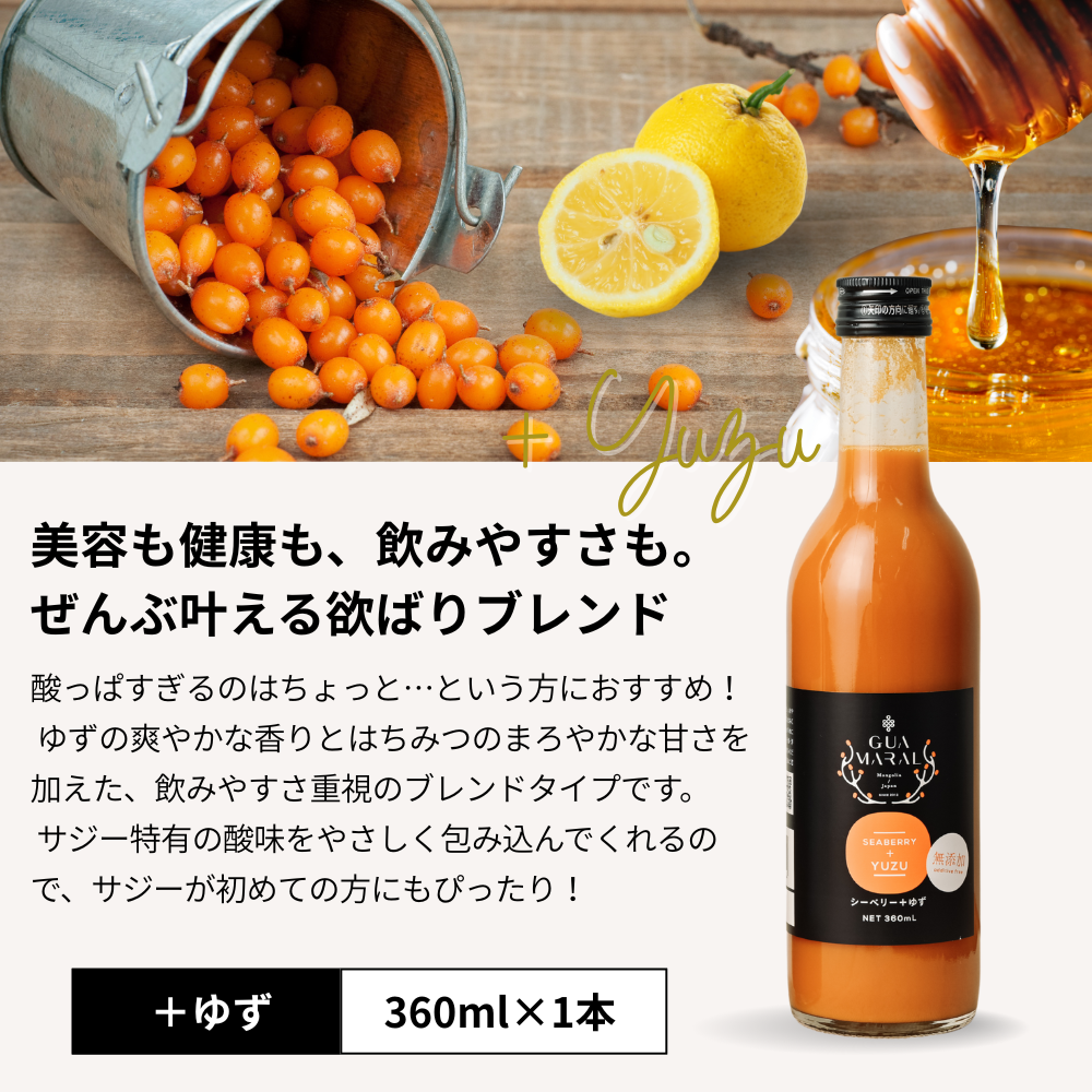 お試し360ml＋ゆず