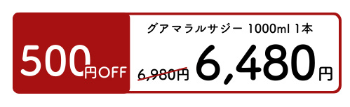 サジープレーン2本ボタン
