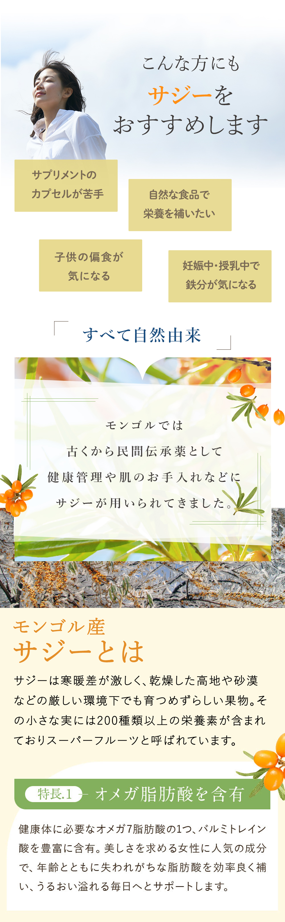 サジー定期