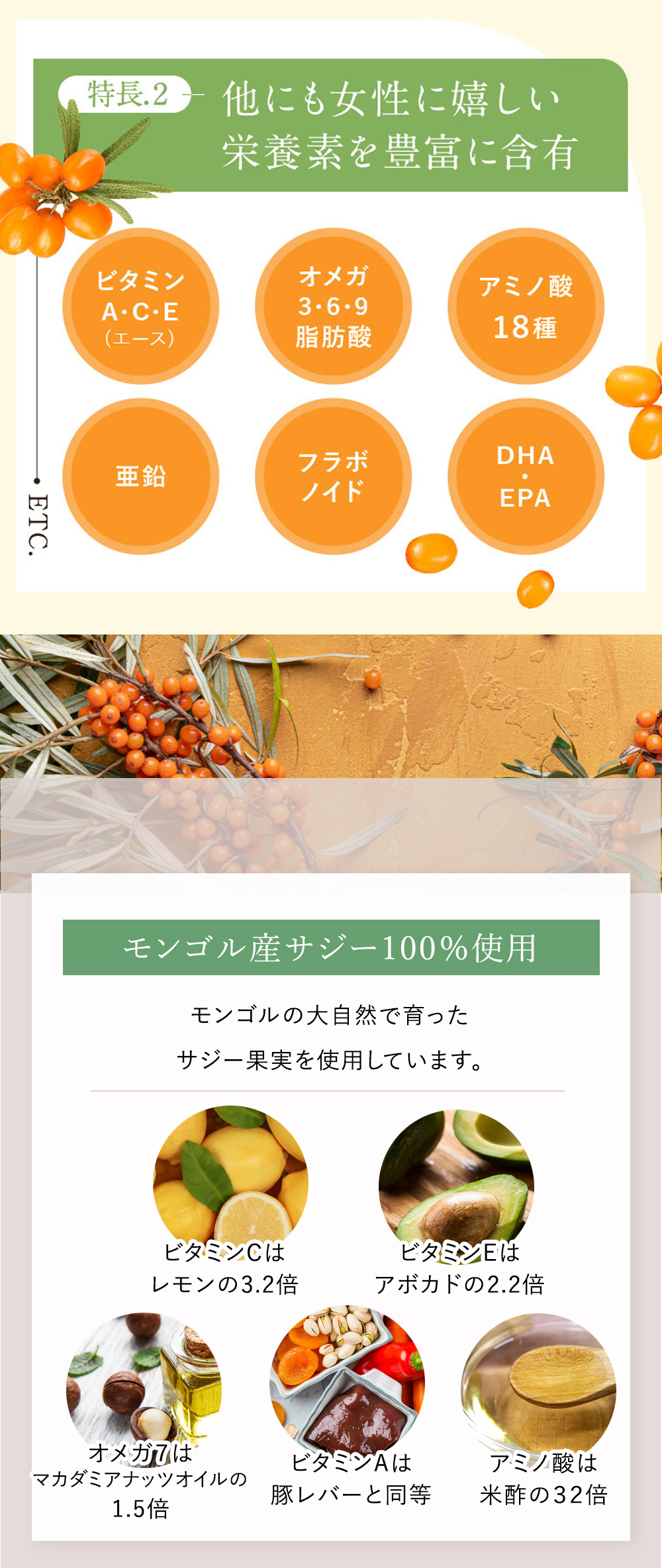 サジー定期