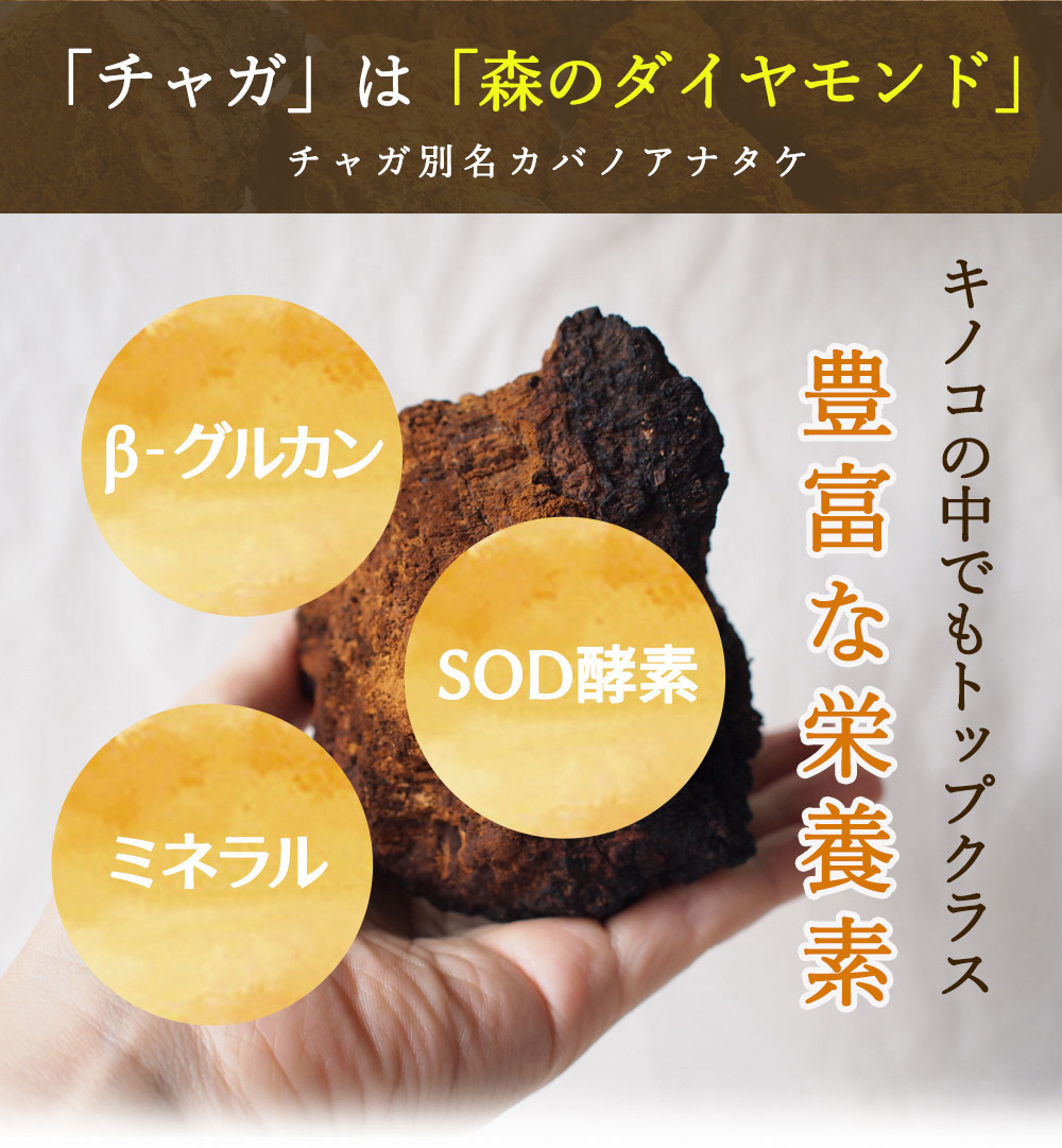 希少なキノコで豊富な栄養素