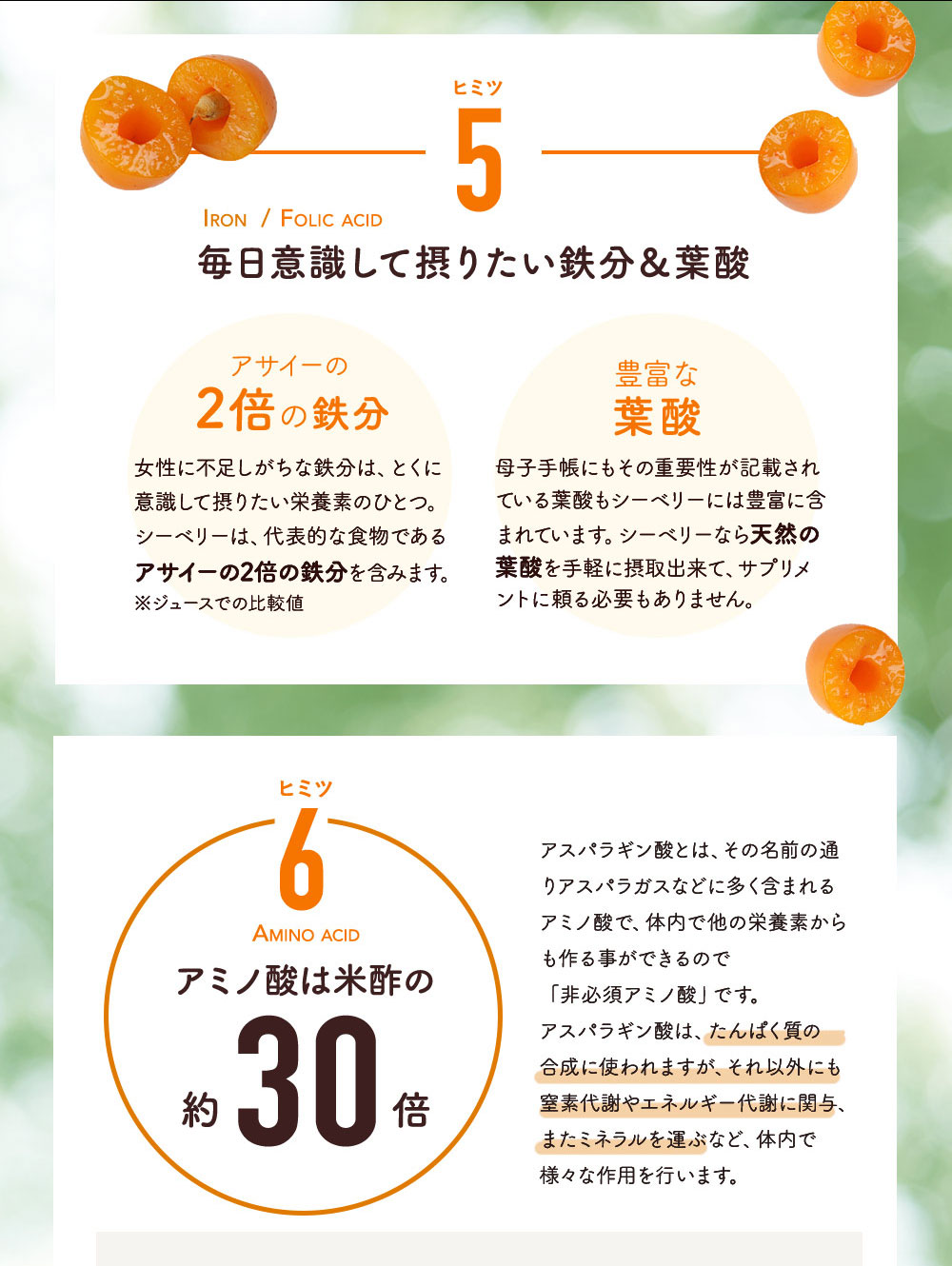 アミノ酸は米酢の約30倍