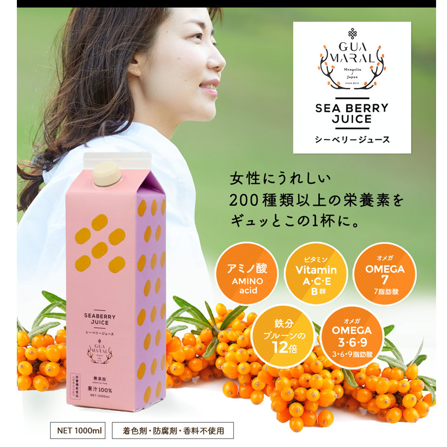 匿名配送無料 新品未開封 豊潤サジー1000ml×3本セット 新品・未開封】豊潤サジー 1000ml 3本セット（新品未開封サジー