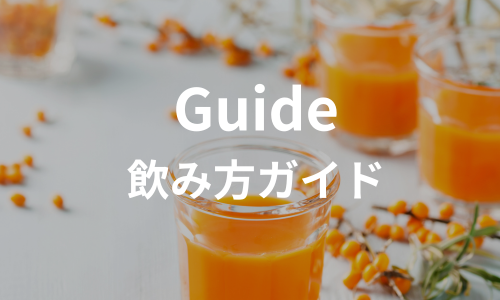 飲み方ガイド