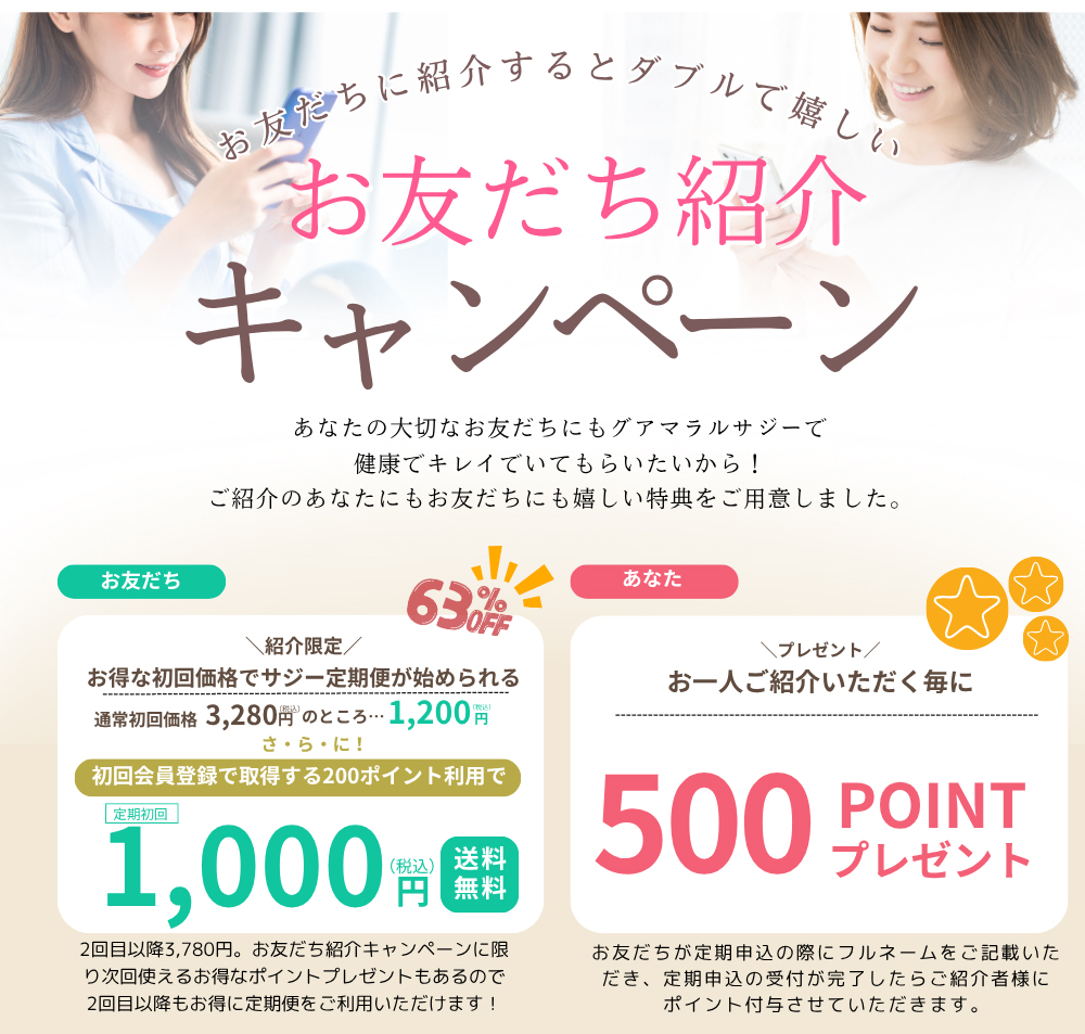 サジーとは