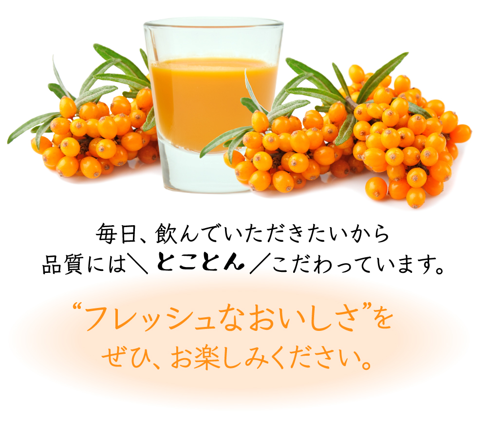 SALE／92%OFF】 シーベリー サジー 100％果汁 北海道産 希釈タイプ無糖 300ml×6本 送料無料 fucoa.cl