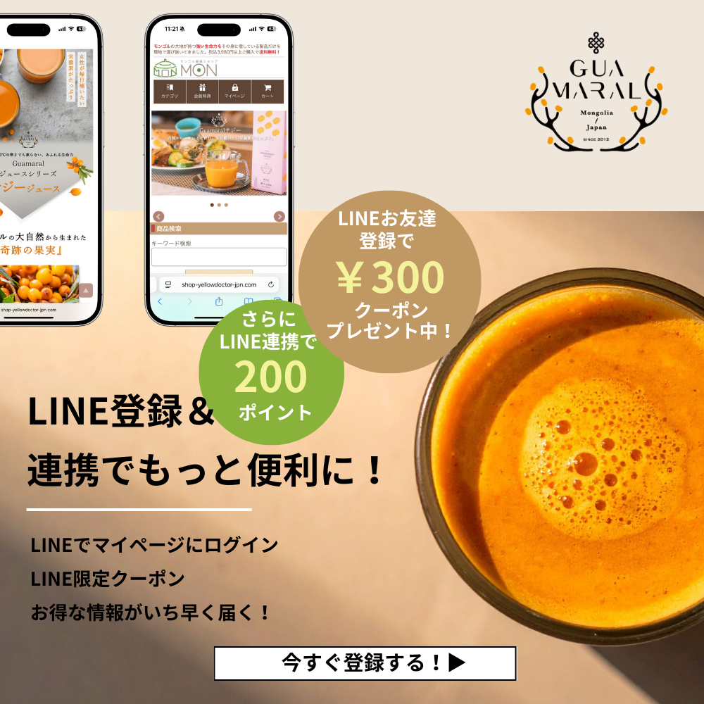 飲み方ガイド