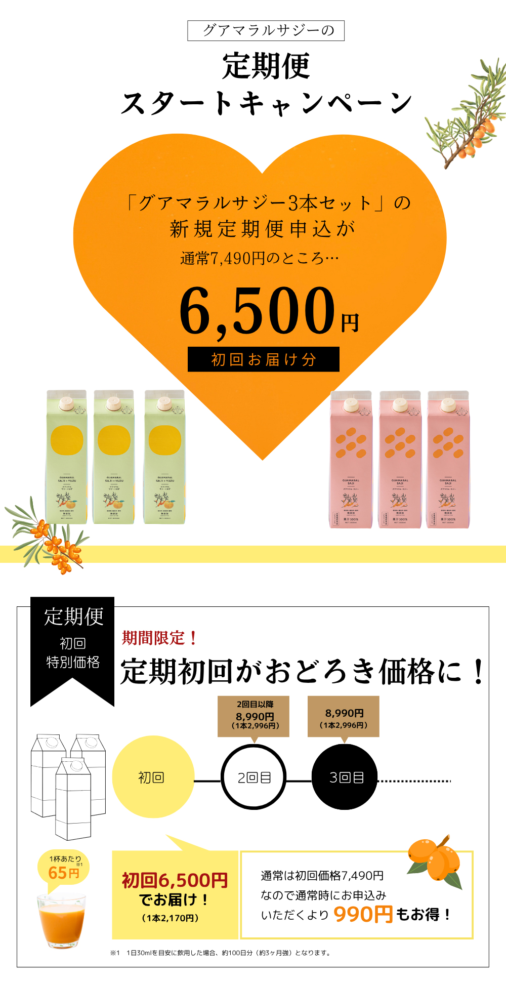 定期スタートCP