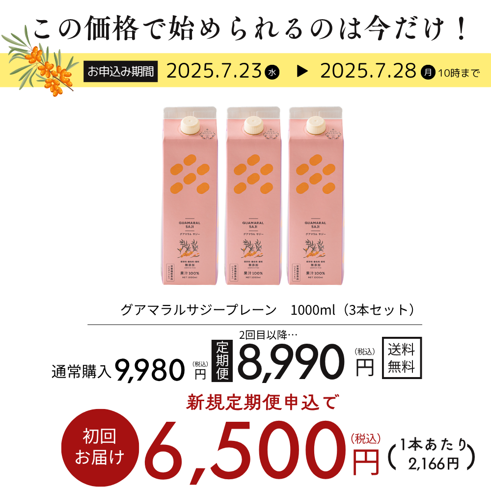 プレーン3本セット