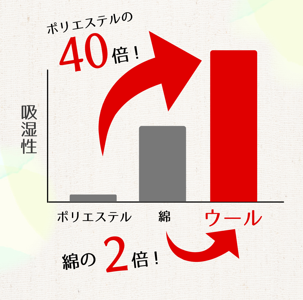 ポリエステルの40倍