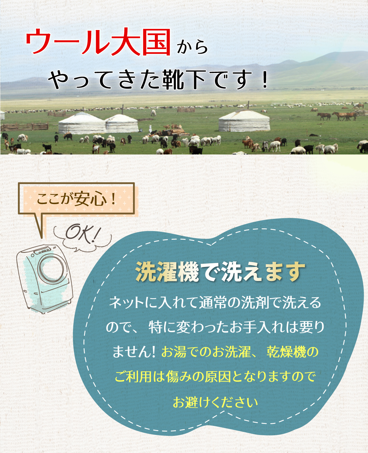 ウール大国モンゴルからやってきた靴下です