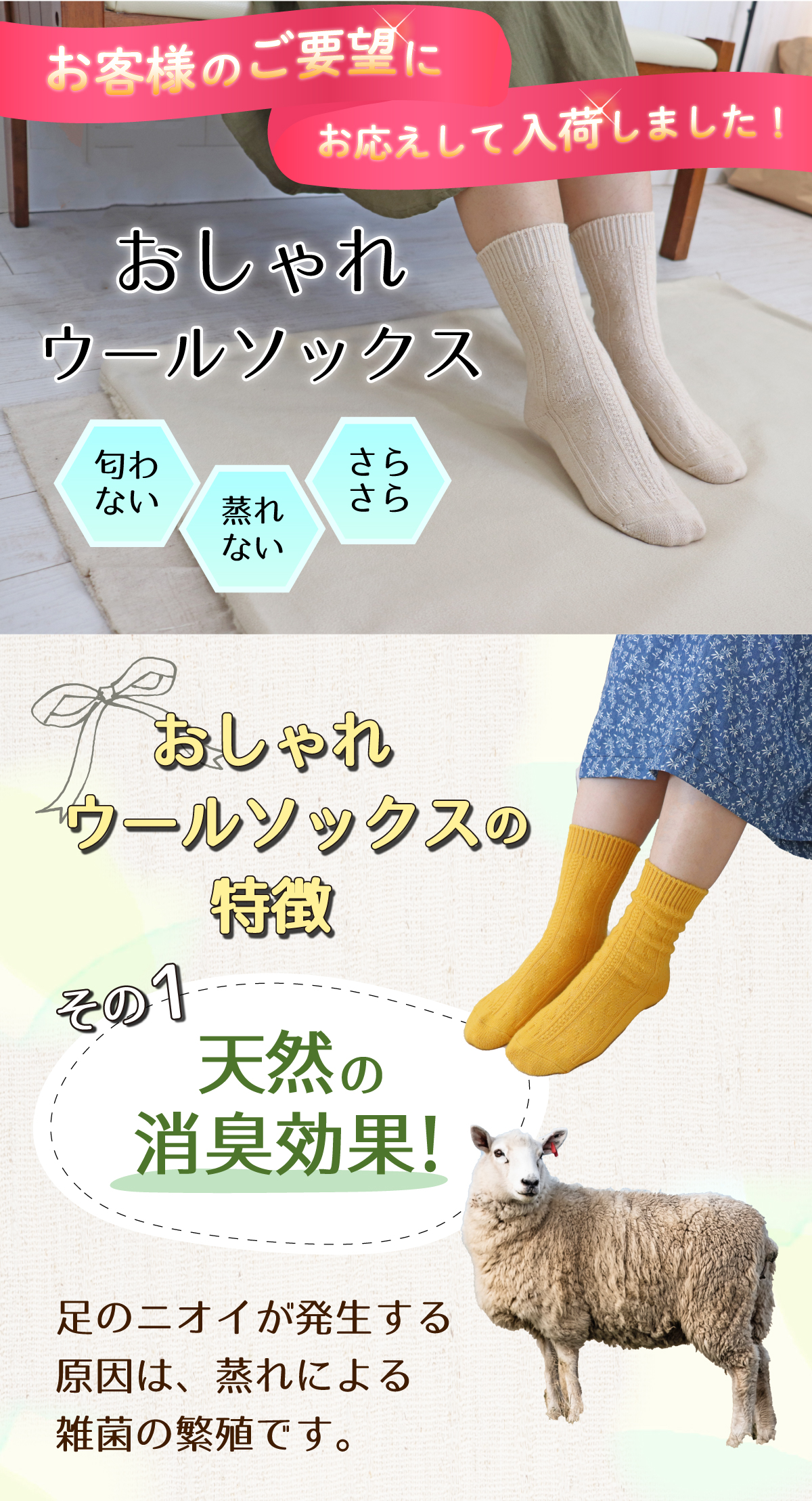 お客様のご要望にお応えして入荷しました