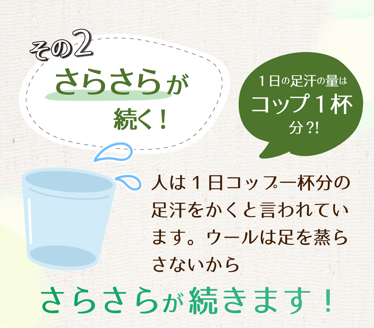 ポリエステルの40倍