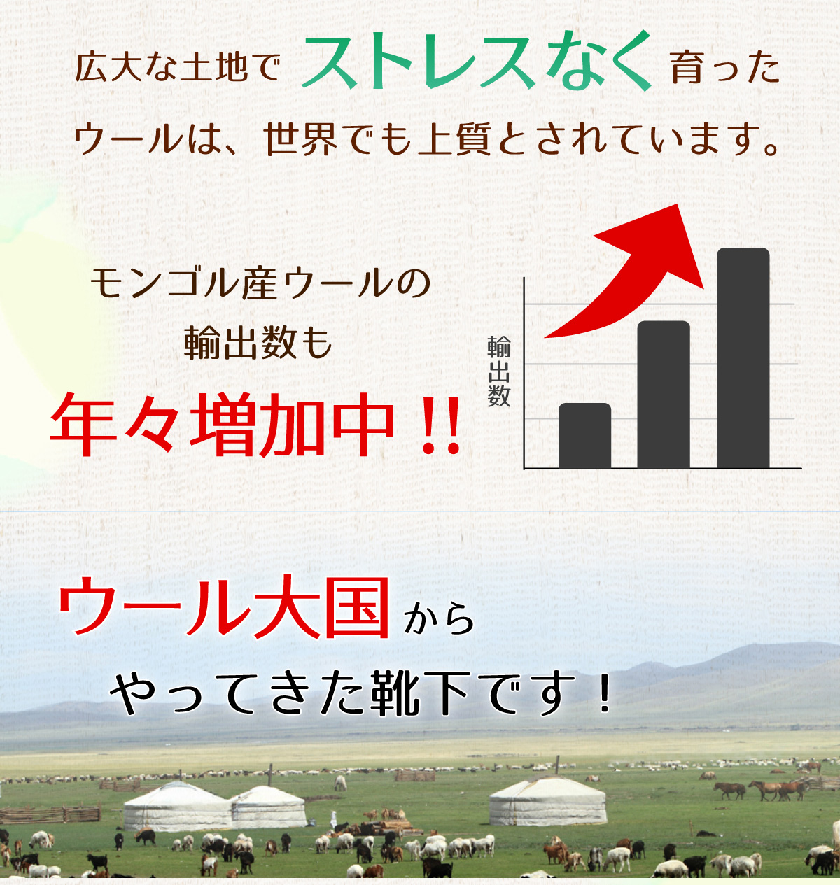 モンゴル産のウールを使用