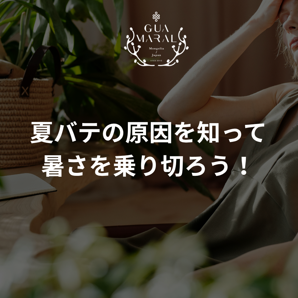 暑さを乗り切ろう