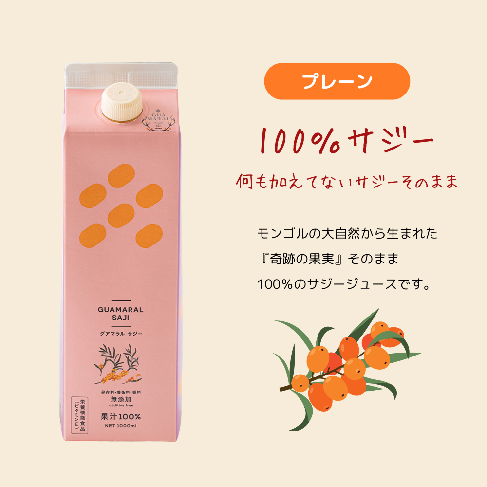 サジープレーン