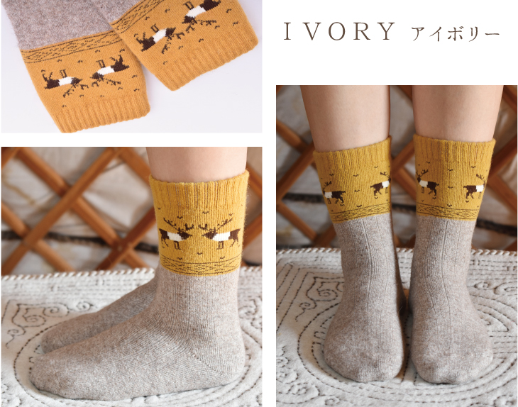 Ivoryアイボリー