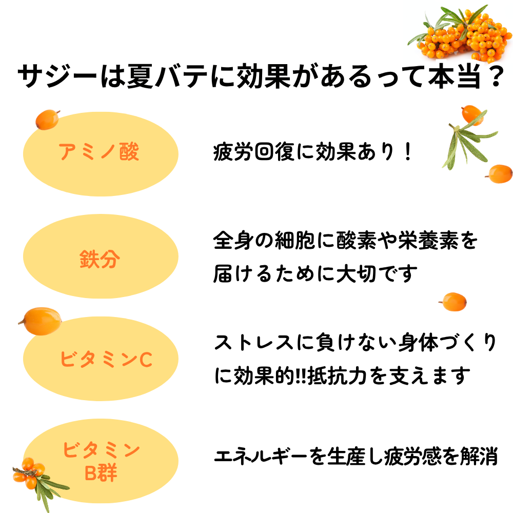 サジーは夏バテに効果があるって本当