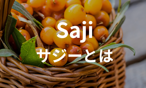 サジーとは